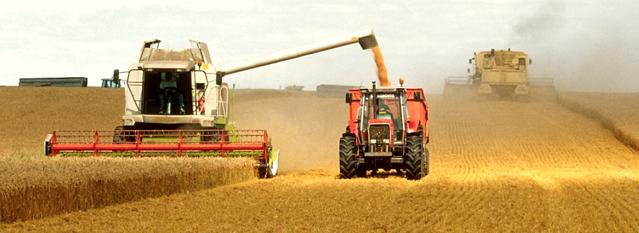 Biçerdöver Zincirleri